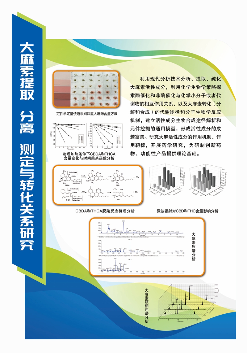 大麻素提取、分離、測定與(yu) 轉化關(guan) 係研究_副本.jpg